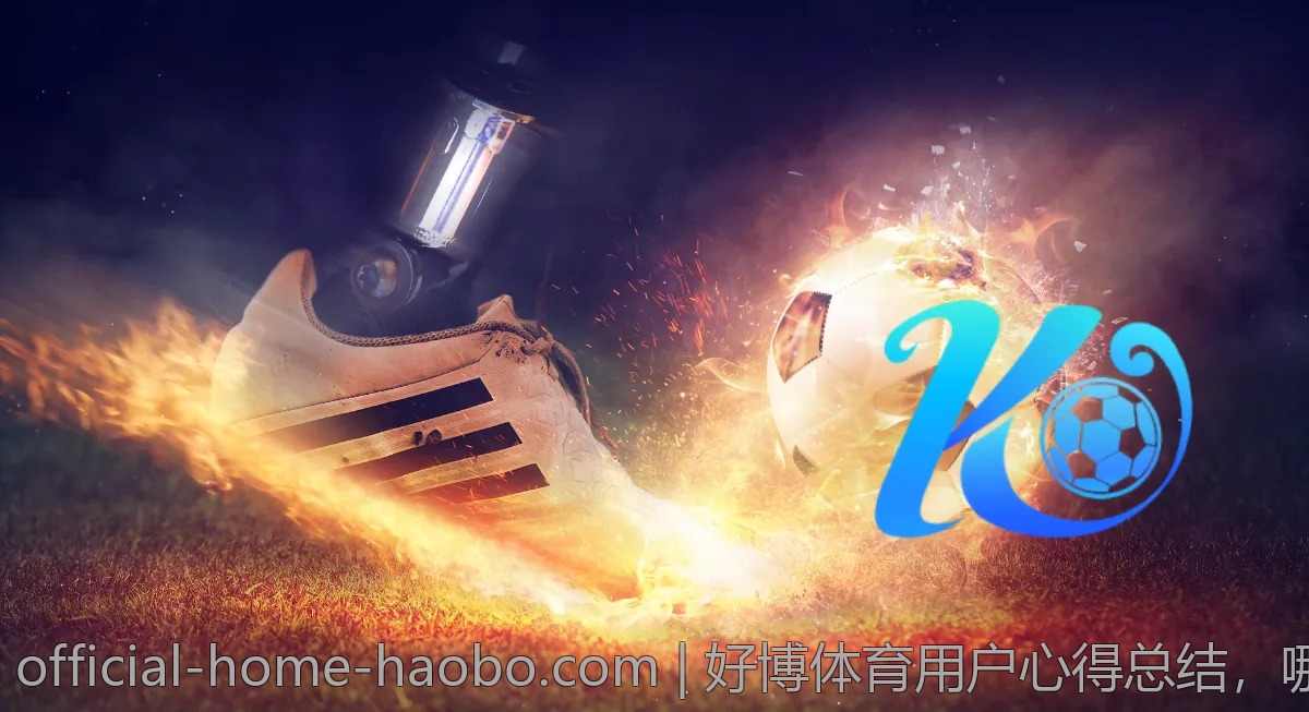 好博体育用户心得总结,哪些平台值得信赖?