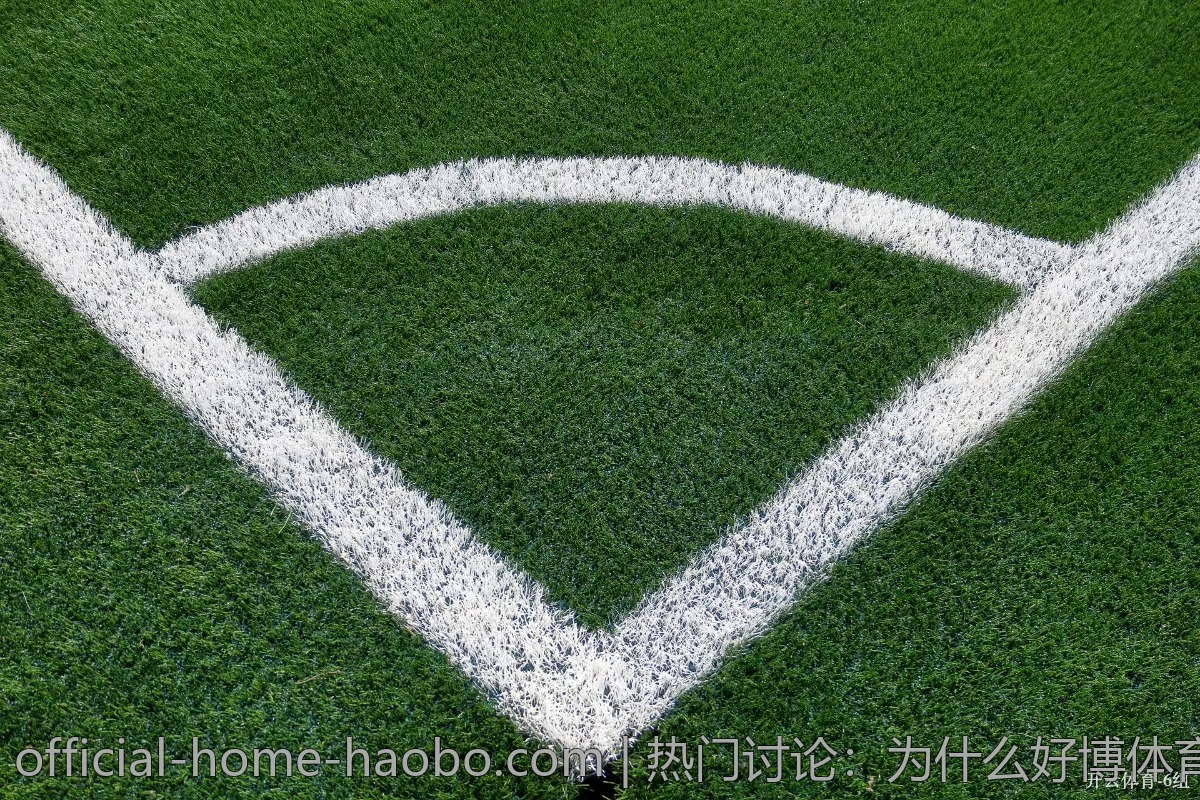 热门讨论:为什么好博体育在年轻人中受欢迎?