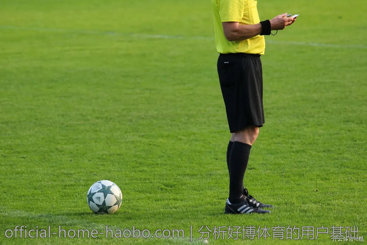分析好博体育的用户基础，为什么这么火？