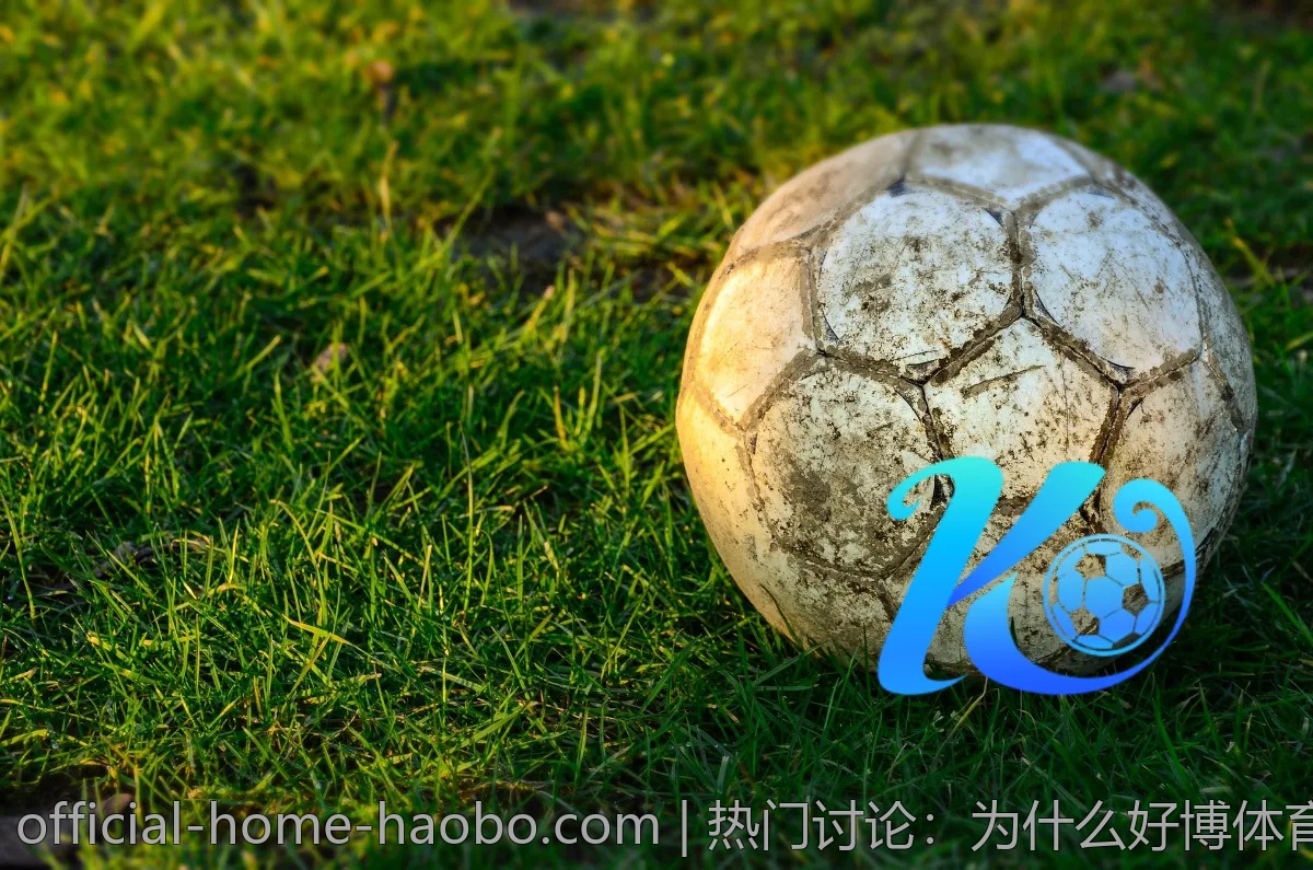 热门讨论：为什么好博体育在年轻人中受欢迎？