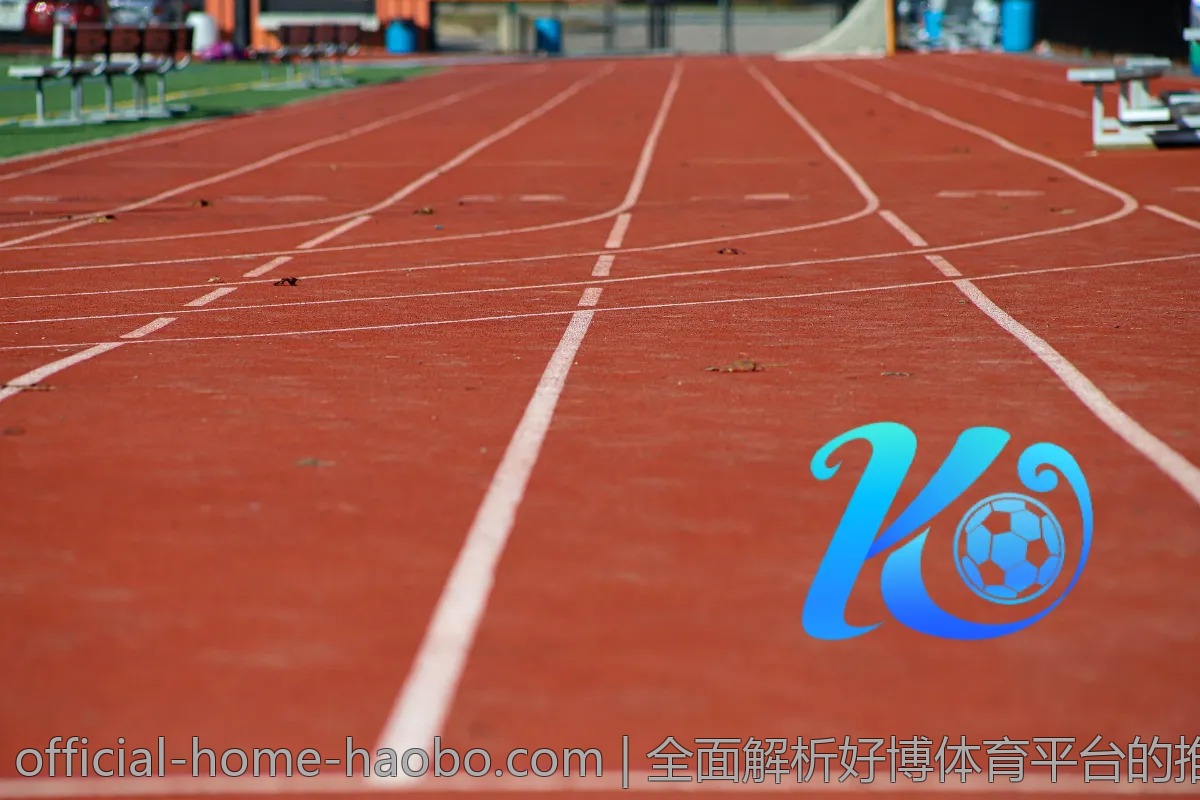 全面解析好博体育平台的推广活动，如何增加收益？