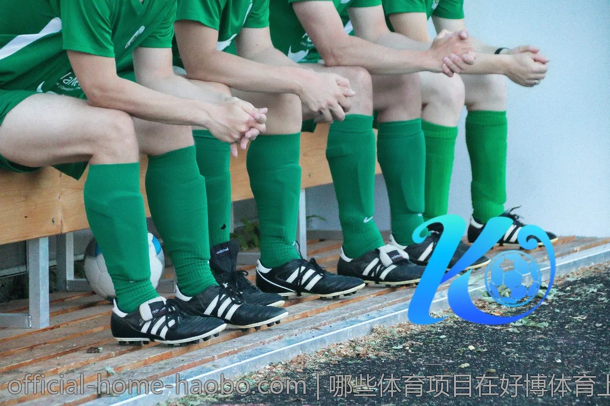 哪些体育项目在好博体育上最受欢迎？一探究竟