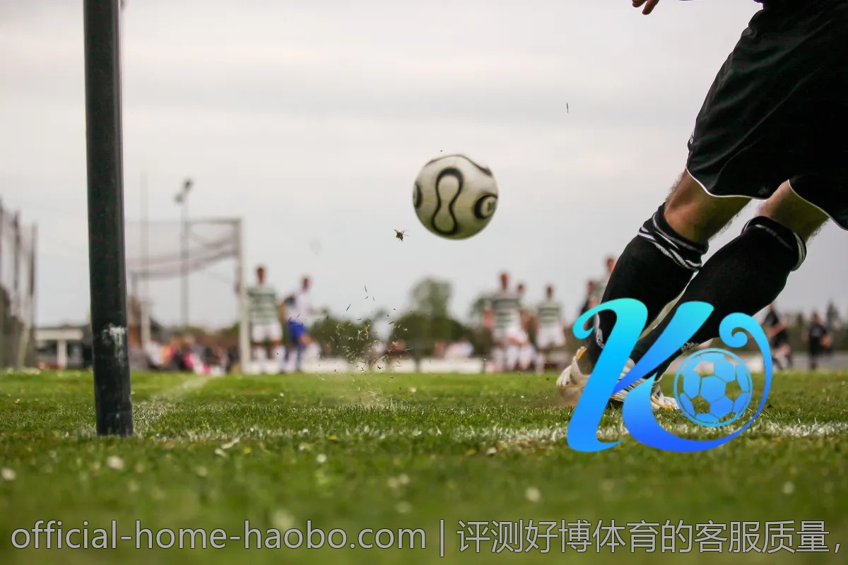 评测好博体育的客服质量，用户反馈中的亮点